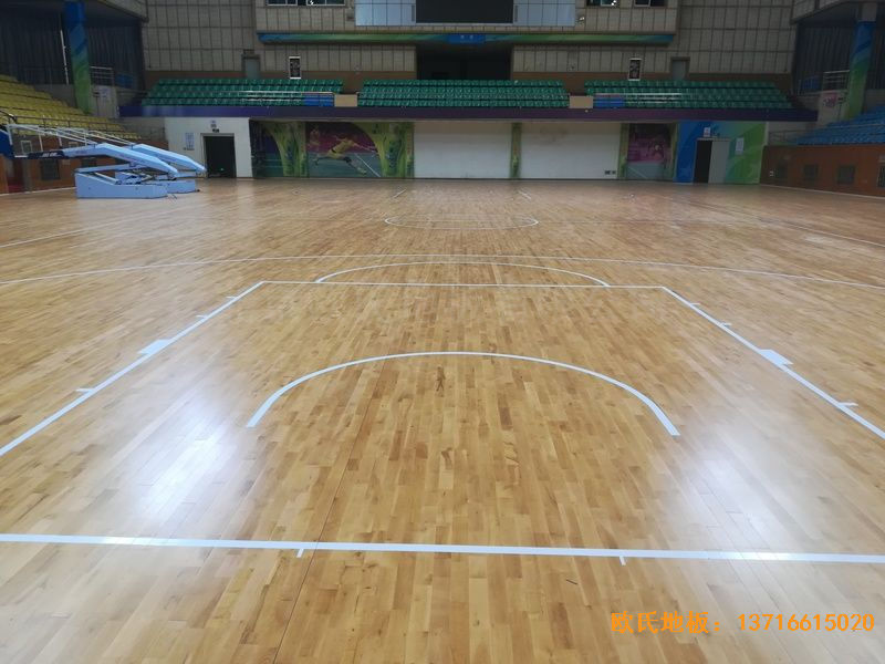 �M���w���^�\(y��n)�ӵذ���b����