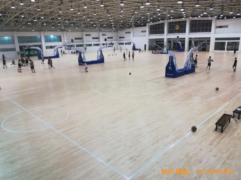 ��h�w���W(xu��)Ժ�w��ľ�ذ尲�b����4