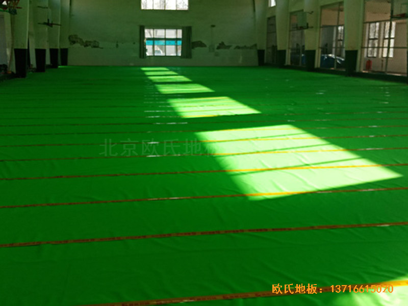 �ӱ������w���W(xu��)���@���^�\��ľ�ذ尲�b����2