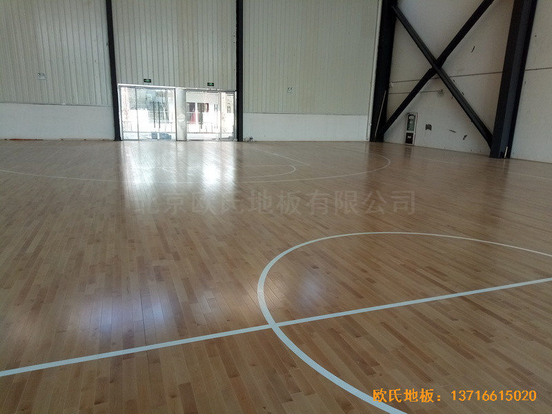 ����̫ꖳ�С�W(xu��)�w���^�\(y��n)��ľ�ذ���O(sh��)����4
