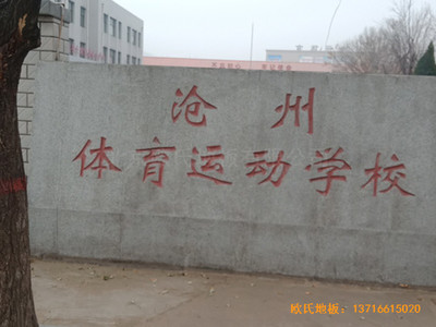 �ӱ������w���W(xu��)���@���^�\��ľ�ذ尲�b����