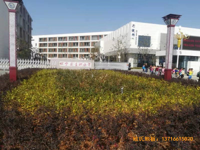 ���Ցь��@���^�\��ľ�ذ尲�b����