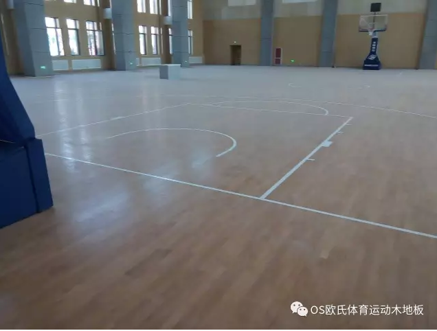 �Ͳ��л��_�h���όW(xu��)У�w���^ľ�ذ尸��2