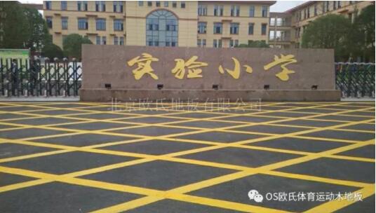 ���ό��l(xi��ng)�h���ό�(sh��)�(y��n)С�W(xu��)�w���^ľ�ذ�ɹ�����