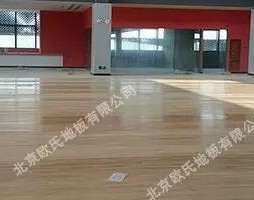 �w���a(ch��n)�I(y��)�Ŀ��ٰl(f��)չ���\��ľ�ذ��ИI(y��)�����޴��̙C(j��)