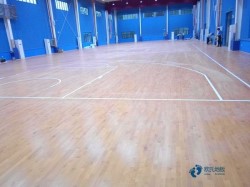 25���w���ذ�r�����