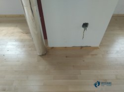 �@���(ch��ng)�w��ľ�ذ�ʩ��
