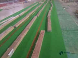 25���\(y��n)��(d��ng)�w���ذ�r(ji��)��һ������Xһƽ����