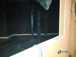 �����w���@��ľ�ذ��Ă����ӵĺ�